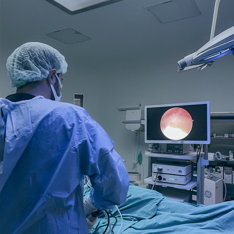 Gastrointestinal Endoscopy